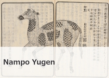 Nampo Yugen